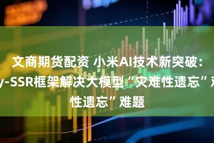 文商期货配资 小米AI技术新突破：Any-SSR框架解决大模型“灾难性遗忘”难题