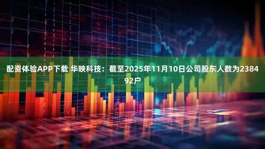 配资体验APP下载 华映科技：截至2025年11月10日公司股东人数为238492户