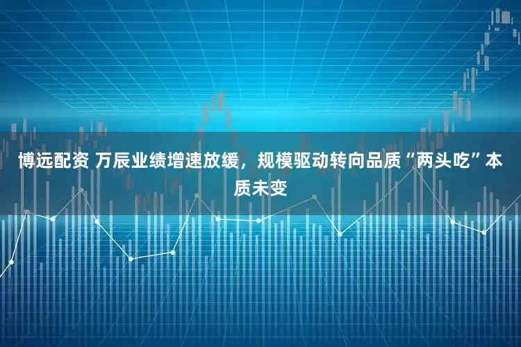 博远配资 万辰业绩增速放缓，规模驱动转向品质“两头吃”本质未变